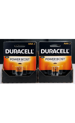 Batteries: BAT-DURACELL-AAA-2